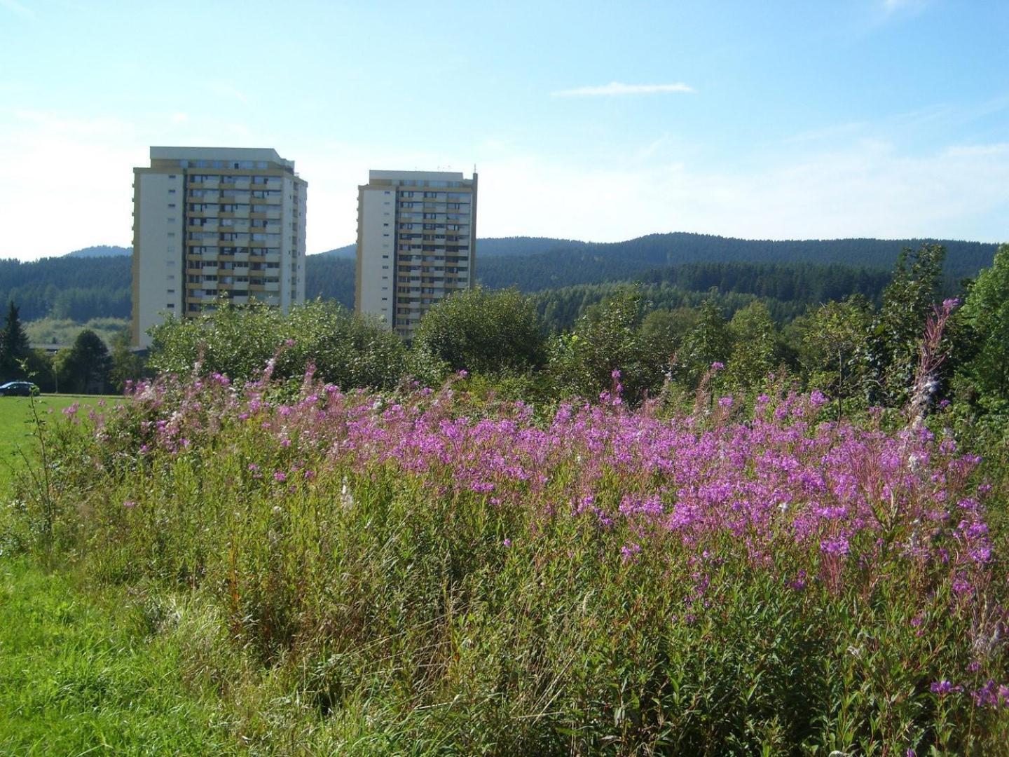 Neu! Panoramablick Pool Und Sauna Apartment Hohegeiss